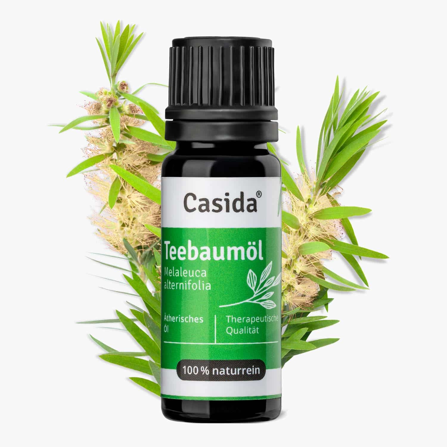 Casida Teebaumöl  - 10 ml